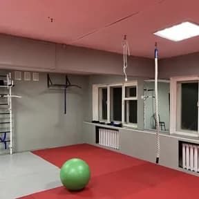 Judo king