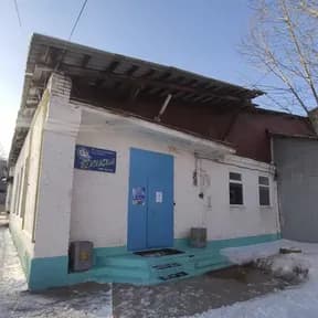 Дельфин